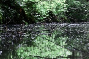 Photo environmental audit, environmental training